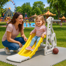 Penguin Slide With Basketball Ring